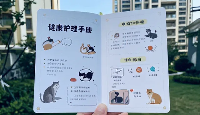 健康护理产品如何通过行为解读提升使用体验